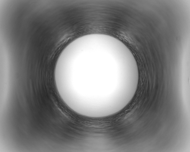 X0000086900744200704301016