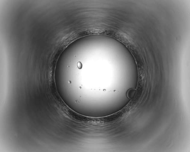 X0000086900745200704301017