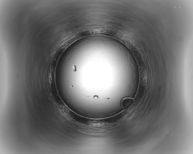 X0000086900746200704301017