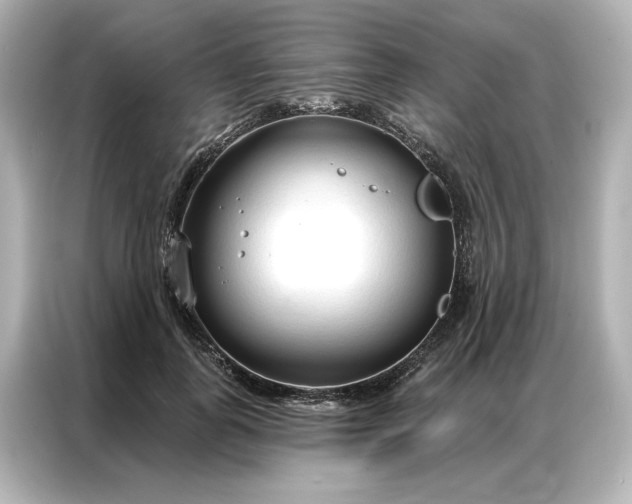 X0000086900747200704301017