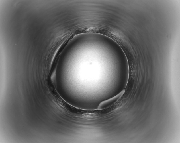 X0000086900748200704301017