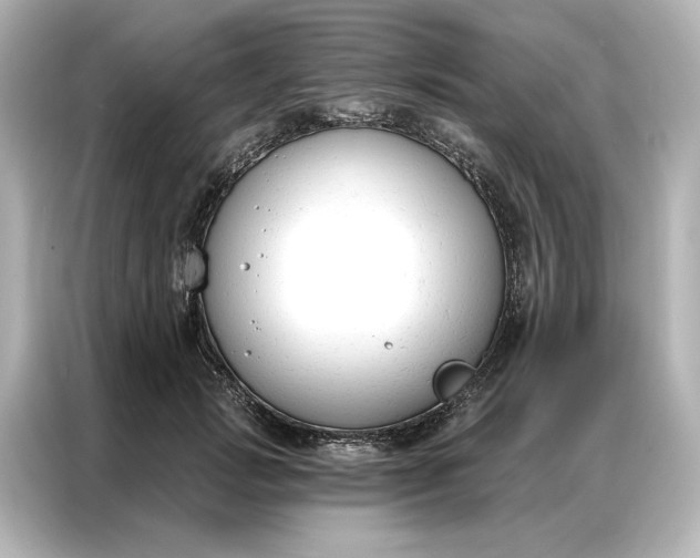 X0000086900749200704301017