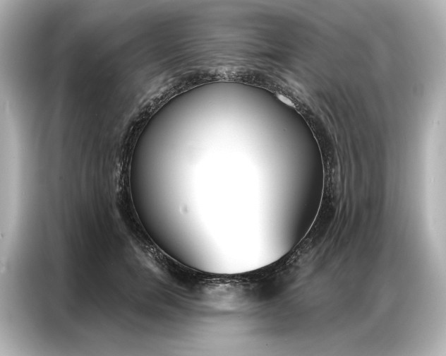 X0000086900750200704301017