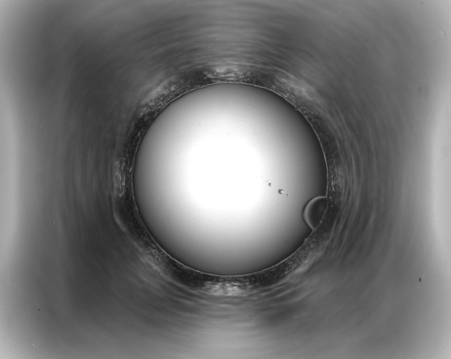 X0000086900751200704301017