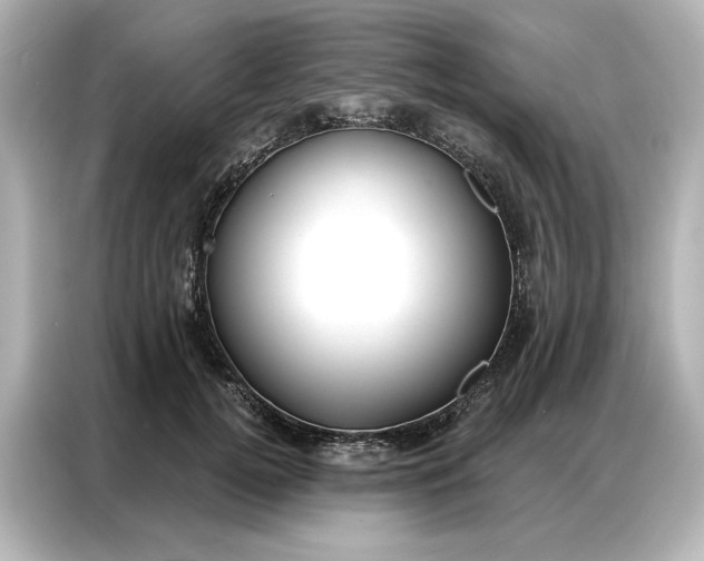 X0000086900752200704301017