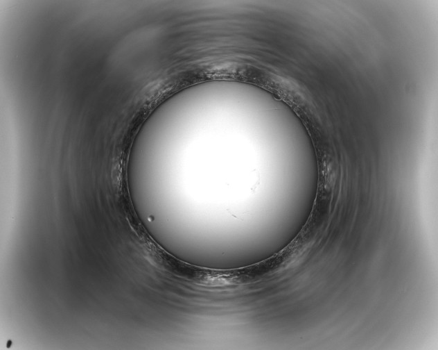 X0000086900753200704301017