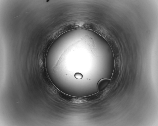 X0000086900754200704301017