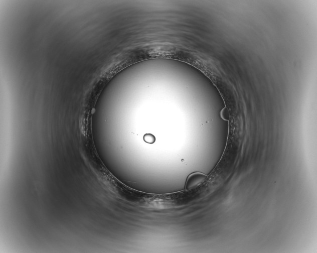 X0000086900755200704301017