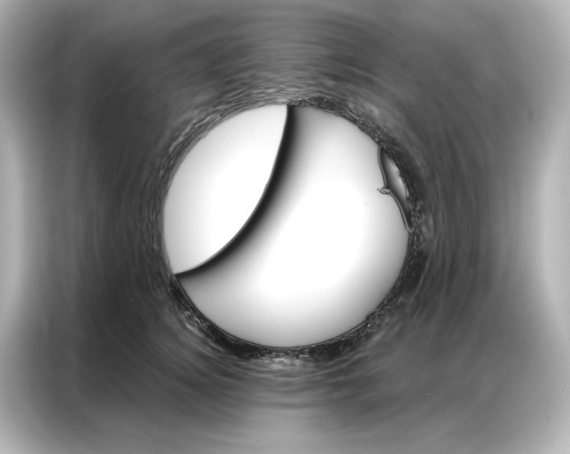 X0000086900756200704301017