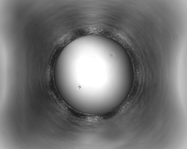 X0000086900757200704301017