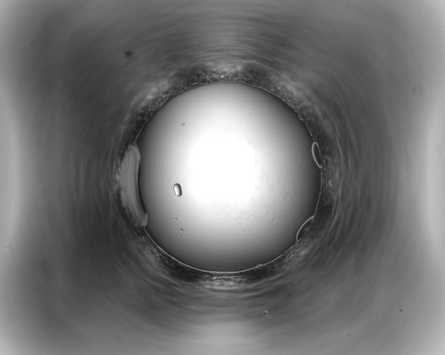 X0000086900758200704301017