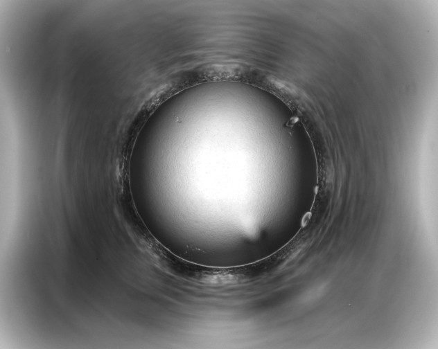 X0000086900759200704301017