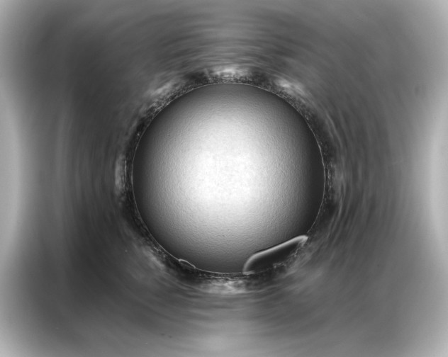 X0000086900760200704301017