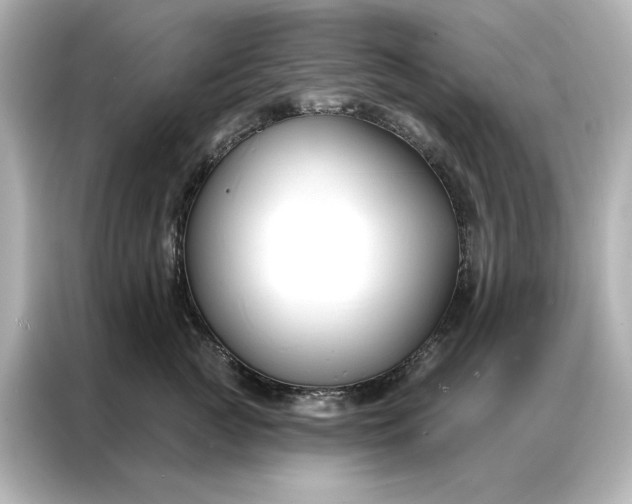 X0000086900761200704301017