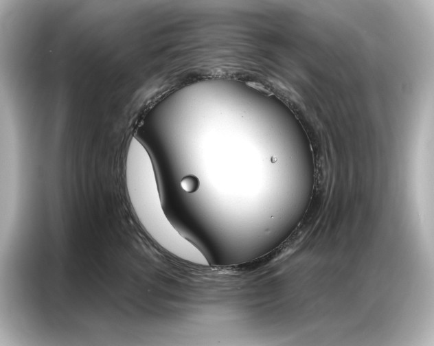 X0000086900762200704301017