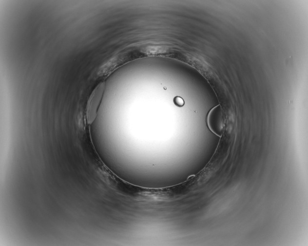 X0000086900763200704301017