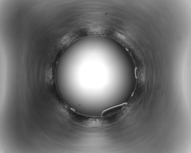 X0000086900764200704301017