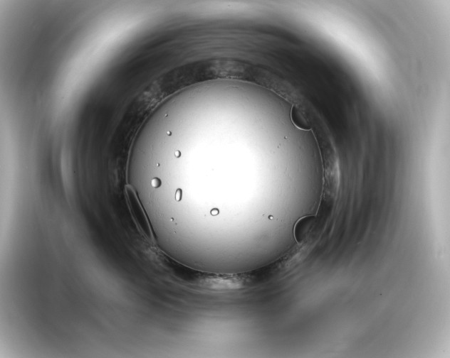 X0000086900765200704301017