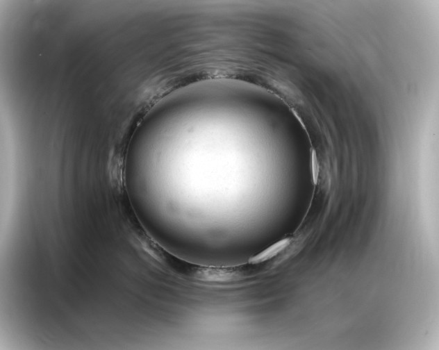 X0000086900766200704301017