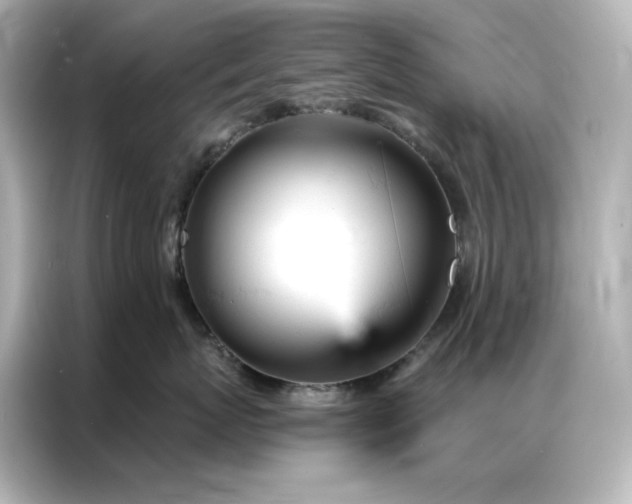 X0000086900767200704301017