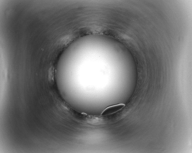 X0000086900768200704301017