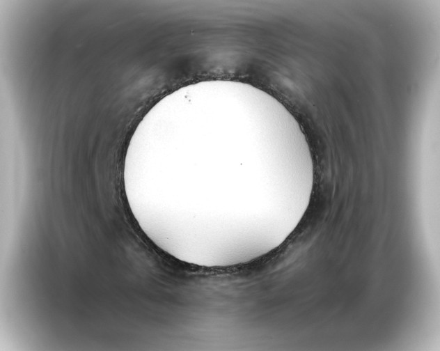 X0000086900769200704301016