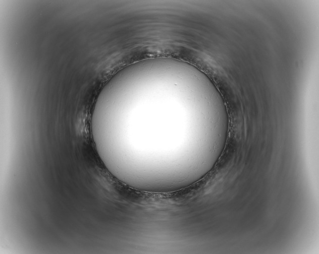 X0000086900770200704301016