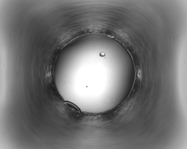 X0000086900771200704301016