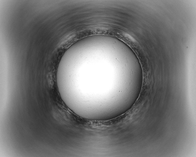 X0000086900774200704301016