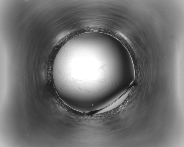 X0000086900775200704301016