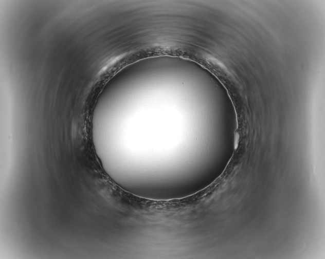 X0000086900776200704301016