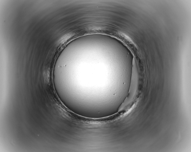 X0000086900777200704301016