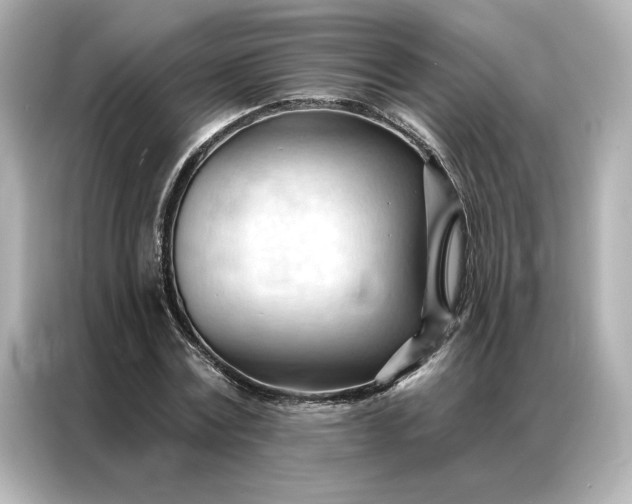 X0000086900779200704301016