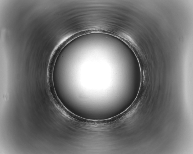 X0000086900780200704301016