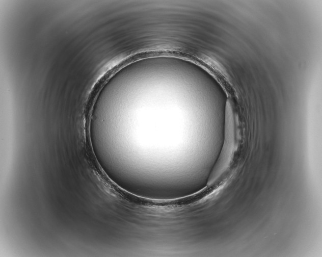 X0000086900781200704301016