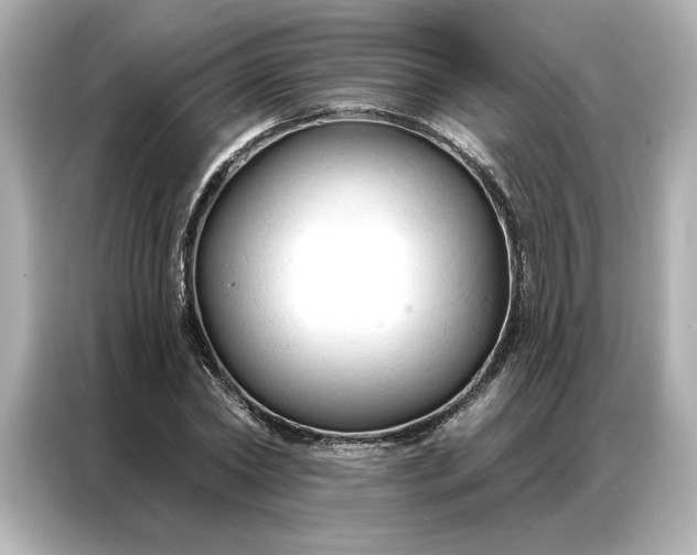 X0000086900782200704301016