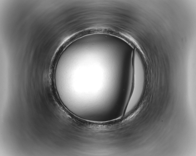 X0000086900783200704301016