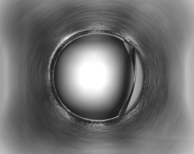 X0000086900784200704301016