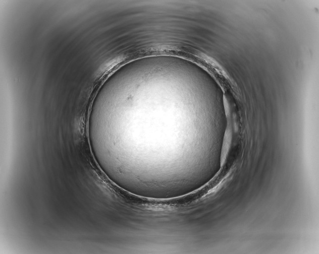 X0000086900785200704301016