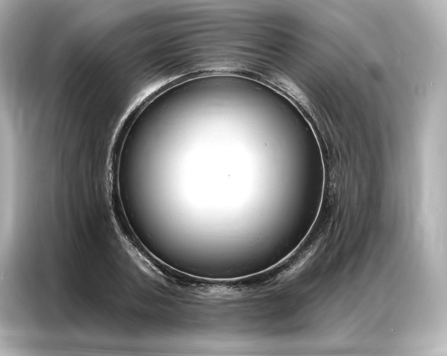 X0000086900787200704301016