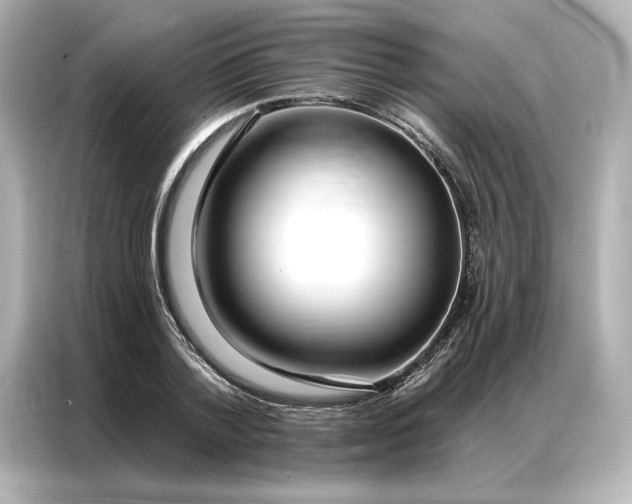 X0000086900788200704301016