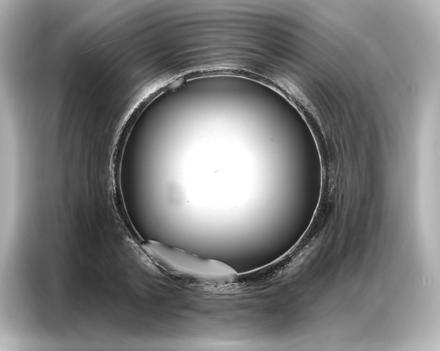 X0000086900789200704301016