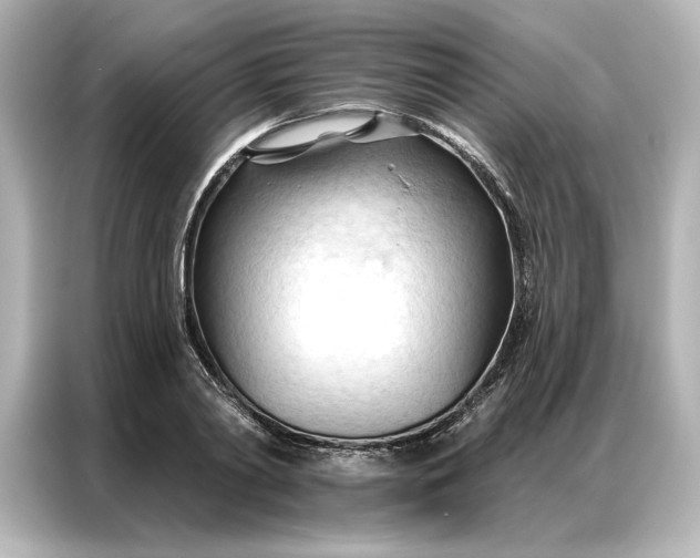 X0000086900790200704301016