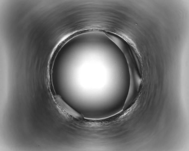 X0000086900792200704301016