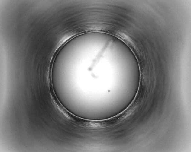 X0000086900794200704301016