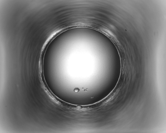 X0000086900796200704301016