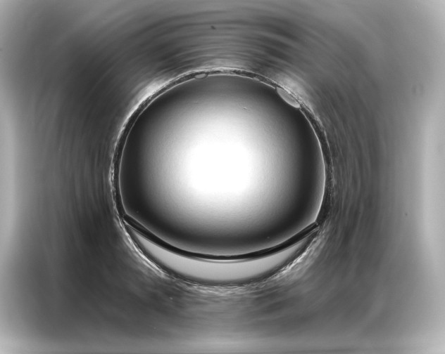 X0000086900797200704301016