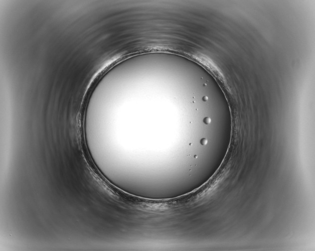 X0000086900798200704301016