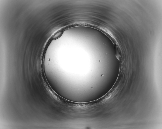 X0000086900799200704301016