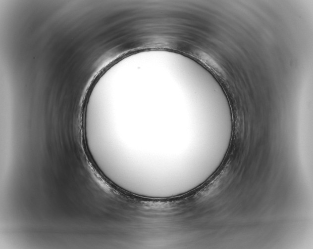 X0000086900800200704301016